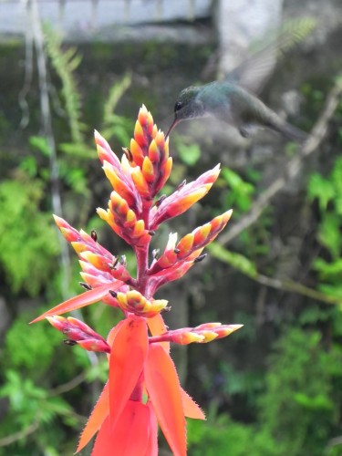 Gratid�o e Felicidade