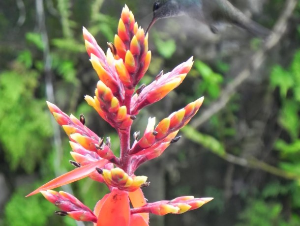 Gratid�o e Felicidade